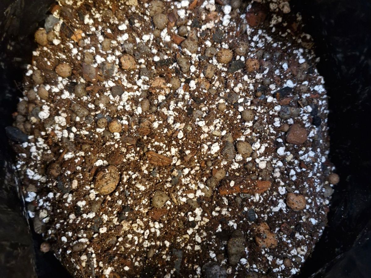 VP-luxin Iisi –kasvualusta 